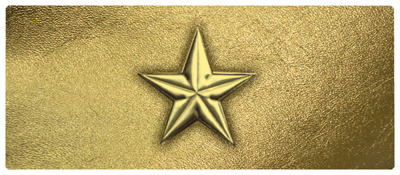 DNSEMP-L-430-GD-GD Star Gold-Gold